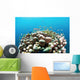 Coral Reef Siaton Philippines Wall Decal Design 3