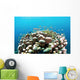 Coral Reef Siaton Philippines Wall Decal Design 3