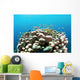 Coral Reef Siaton Philippines Wall Decal Design 3