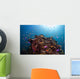 Coral Reef Siaton Philippines Wall Decal Design 2