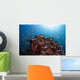 Coral Reef Siaton Philippines Wall Decal Design 2