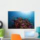 Coral Reef Siaton Philippines Wall Decal Design 2