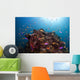Coral Reef Siaton Philippines Wall Decal Design 2