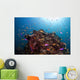 Coral Reef Siaton Philippines Wall Decal Design 2