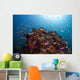 Coral Reef Siaton Philippines Wall Decal Design 2