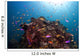 Coral Reef Siaton Philippines Wall Decal Design 2