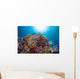 Coral Reef Siaton Philippines Wall Decal Design 1