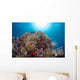 Coral Reef Siaton Philippines Wall Decal Design 1