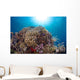 Coral Reef Siaton Philippines Wall Decal Design 1