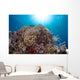 Coral Reef Siaton Philippines Wall Decal Design 1