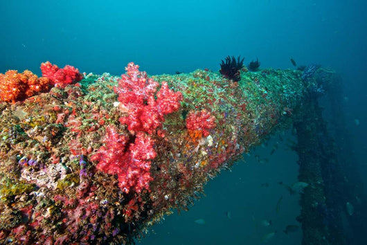 Corals Old Oil Rig Wall Decal