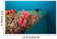 Corals Old Oil Rig Wall Decal