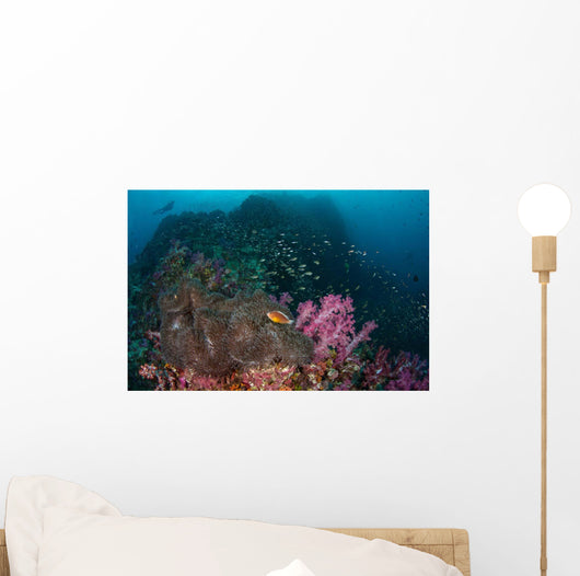 Anemone Soft Corals and Wall Decal