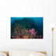 Anemone Soft Corals and Wall Decal