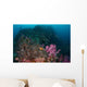 Anemone Soft Corals and Wall Decal