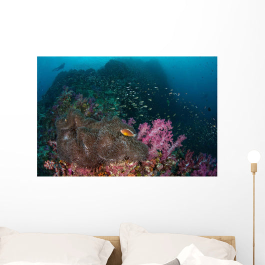 Anemone Soft Corals and Wall Decal