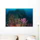Anemone Soft Corals and Wall Decal