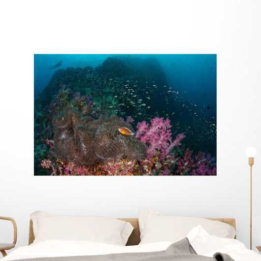 Anemone Soft Corals and Wall Decal