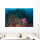 Anemone Soft Corals and Wall Decal