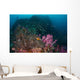 Anemone Soft Corals and Wall Decal