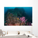 Anemone Soft Corals and Wall Decal