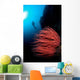 Diver and Corals Siaton Wall Decal