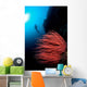 Diver and Corals Siaton Wall Decal