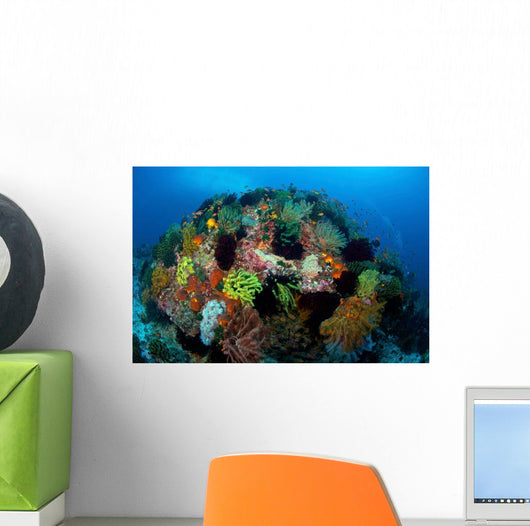 Crinoids Hard Coral Boulder Wall Decal