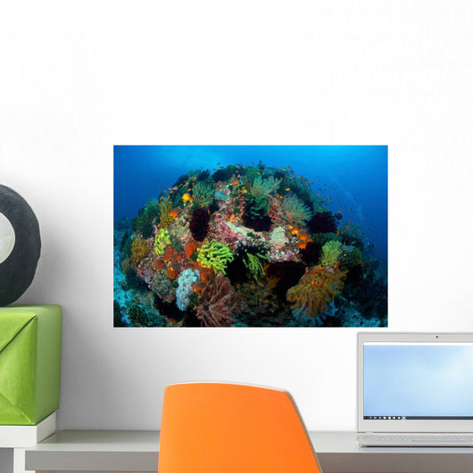 Crinoids Hard Coral Boulder Wall Decal