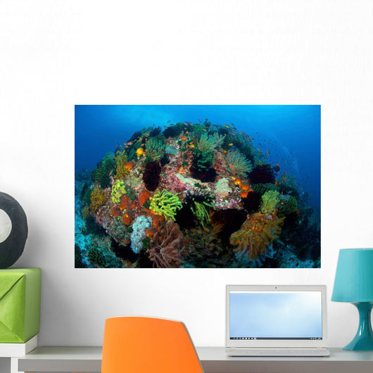 Crinoids Hard Coral Boulder Wall Decal