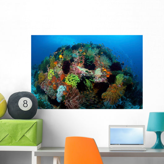 Crinoids Hard Coral Boulder Wall Decal