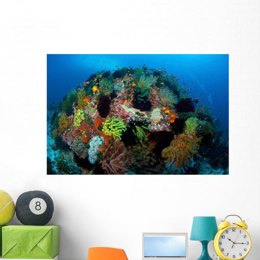 Crinoids Hard Coral Boulder Wall Decal