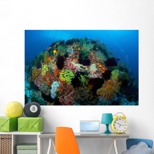 Crinoids Hard Coral Boulder Wall Decal