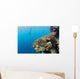 Free diver and Corals Moalboal Wall Decal