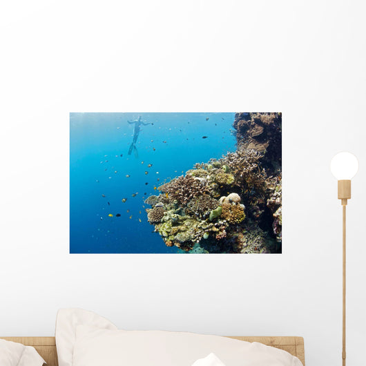Free diver and Corals Moalboal Wall Decal