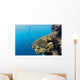 Free diver and Corals Moalboal Wall Decal