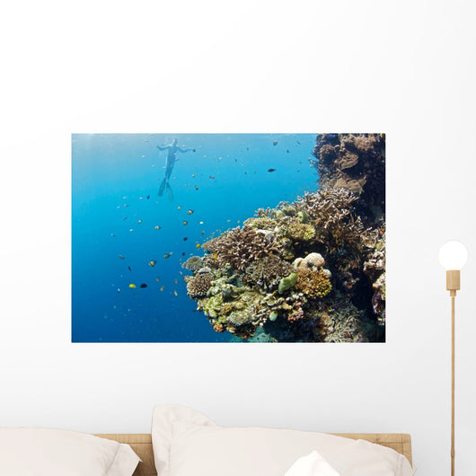 Free diver and Corals Moalboal Wall Decal