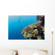 Free diver and Corals Moalboal Wall Decal