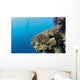 Free diver and Corals Moalboal Wall Decal