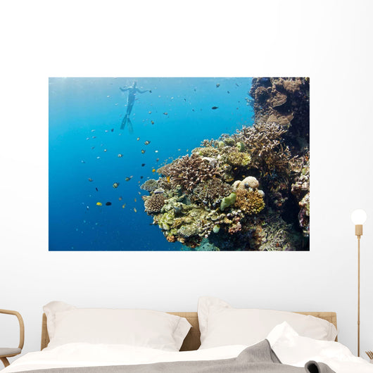 Free diver and Corals Moalboal Wall Decal