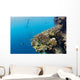 Free diver and Corals Moalboal Wall Decal