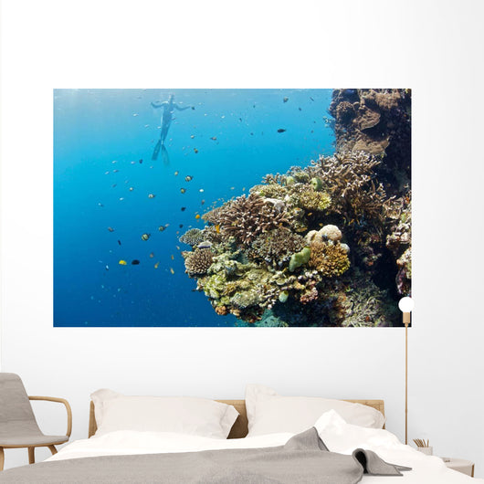 Free diver and Corals Moalboal Wall Decal