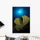 Hard Corals Cabilao Philippines Wall Decal