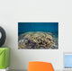 Hard Coral Garden Shallows Wall Decal