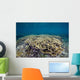 Hard Coral Garden Shallows Wall Decal