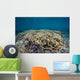 Hard Coral Garden Shallows Wall Decal