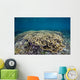 Hard Coral Garden Shallows Wall Decal