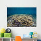 Hard Coral Garden Shallows Wall Decal