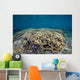 Hard Coral Garden Shallows Wall Decal
