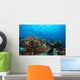 Jack Fish Swimming over Wall Decal